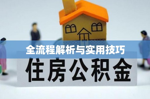 竹山全流程解析与实用技巧