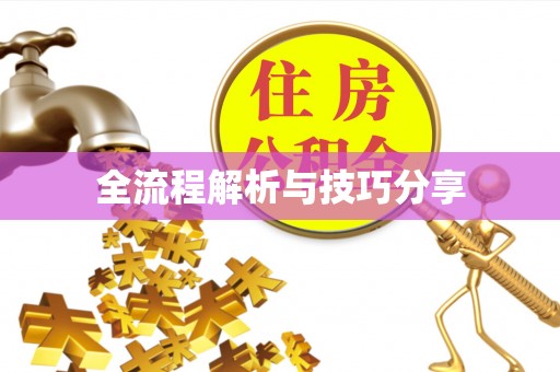 竹山全流程解析与技巧分享